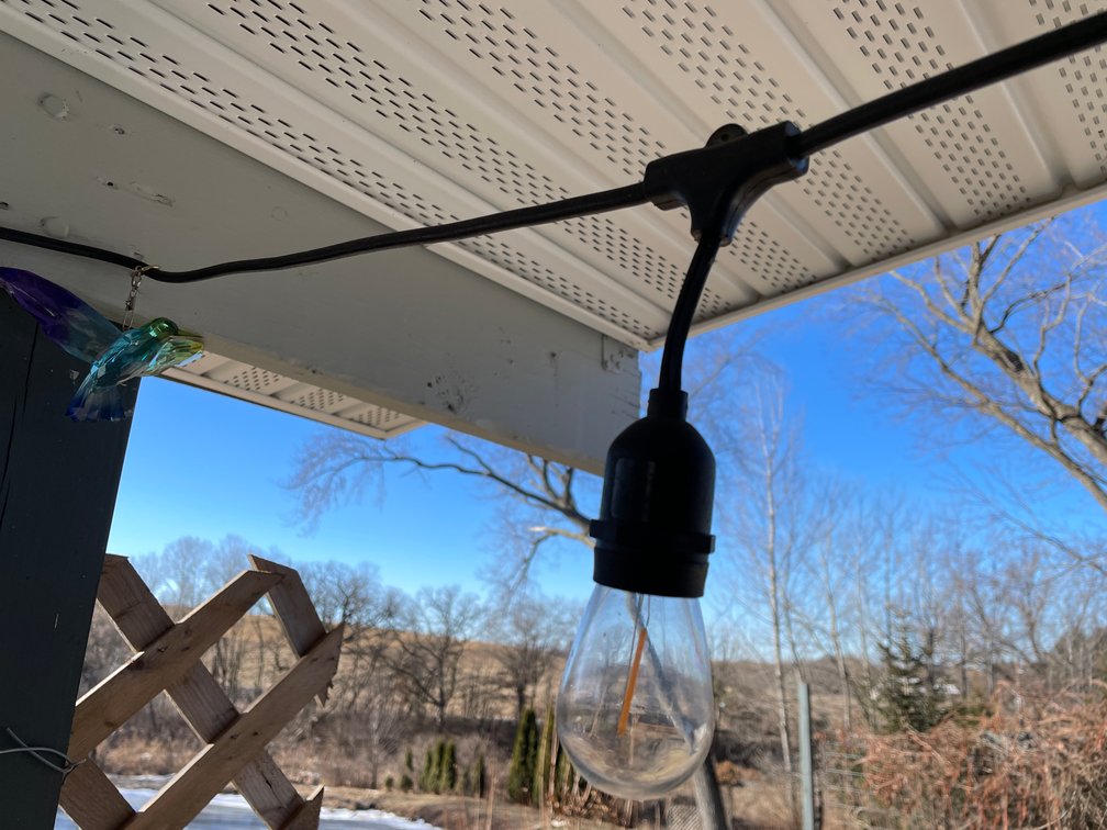 Hanging Lights