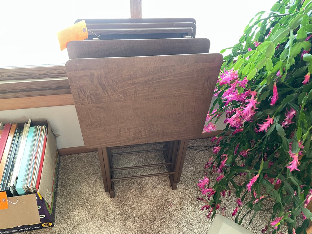 (4) TV Trays with Stand
