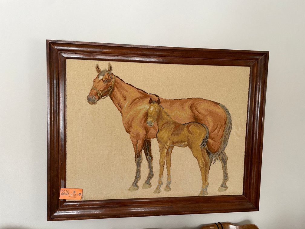 Large Picture of Horse and Colt