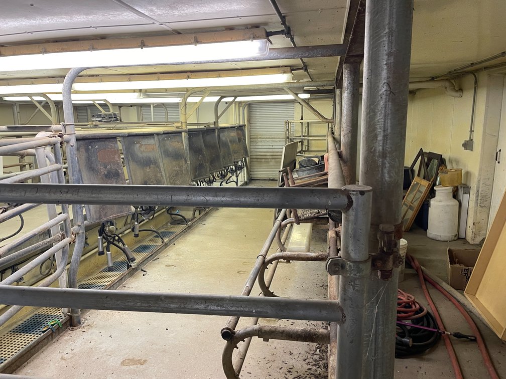 (16) Cow Milk Parlor