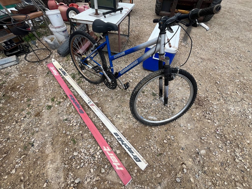 Mongoose Bike