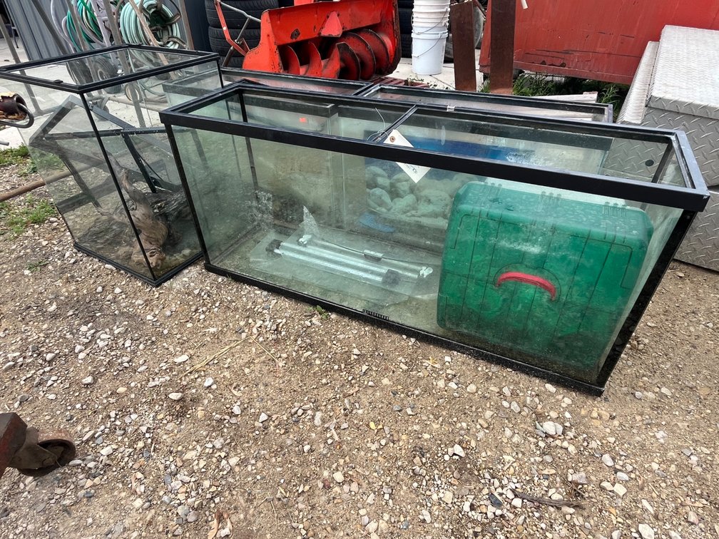 Aquariums and Terrariums