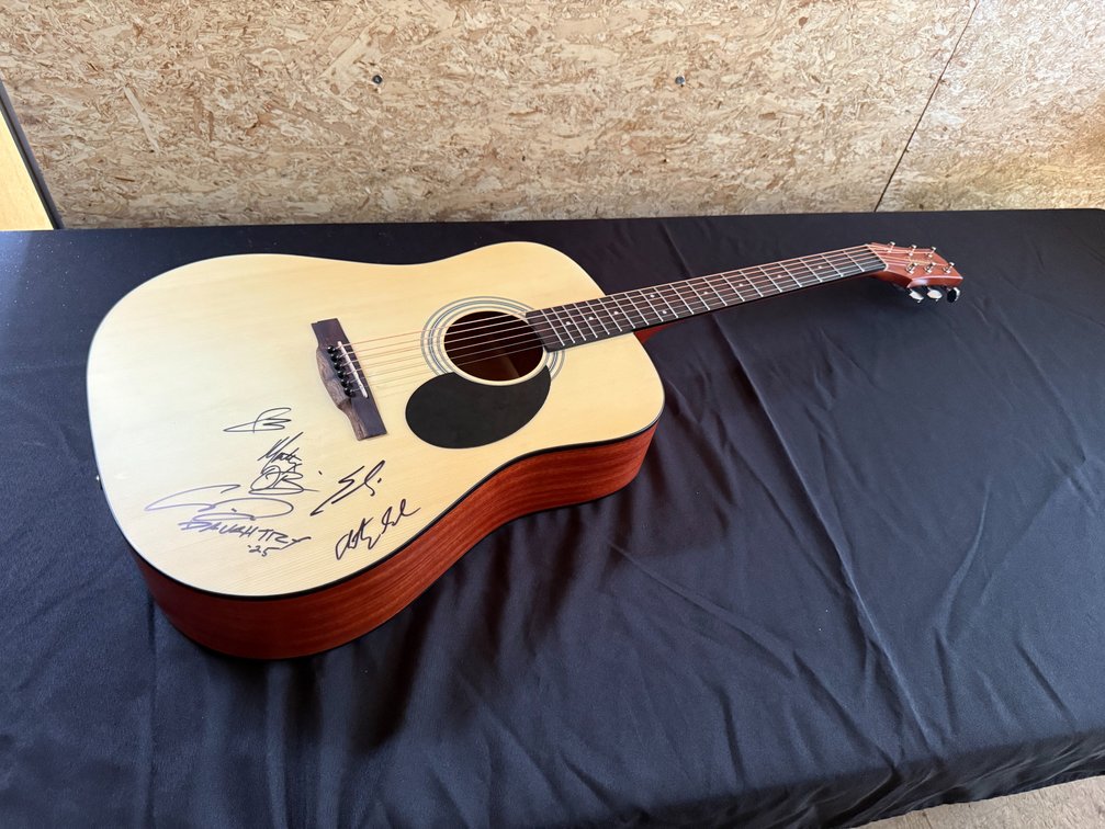 Daughtry Guitar 