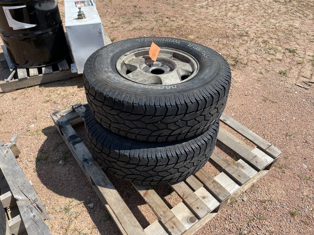 Set of (2) Tires on Rims