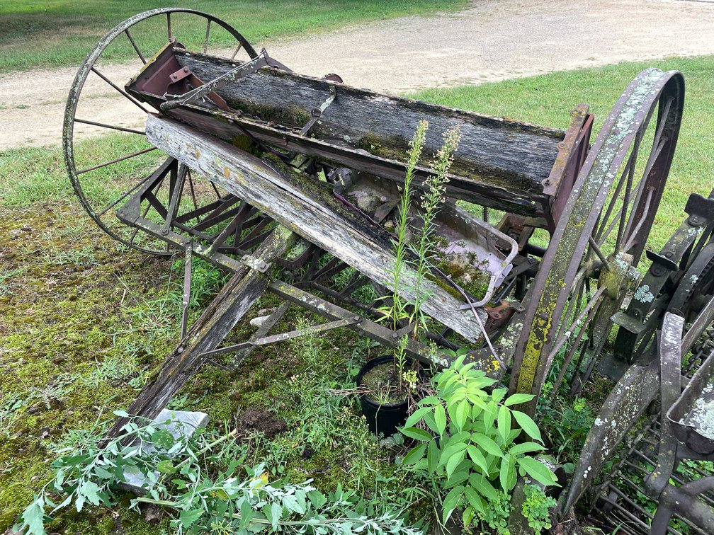 Antique Seeder