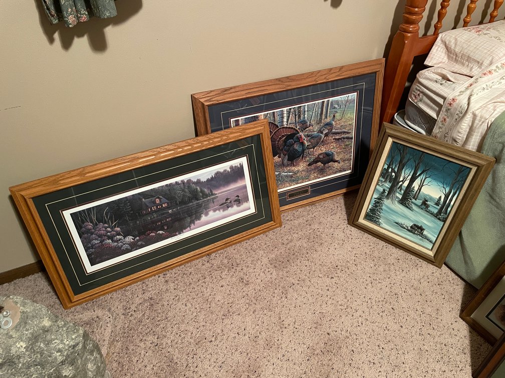 (3) Outdoor Framed Prints