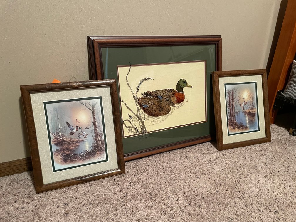 (3) Outdoor Framed Prints