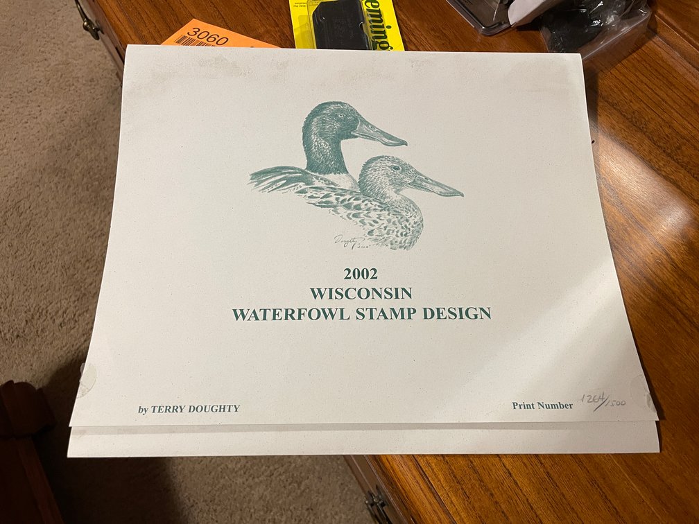 (2) Duck Stamps Prints