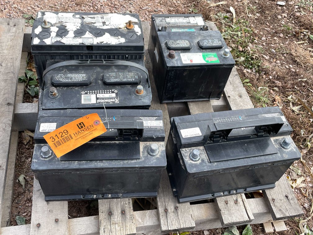 (6) Batteries 