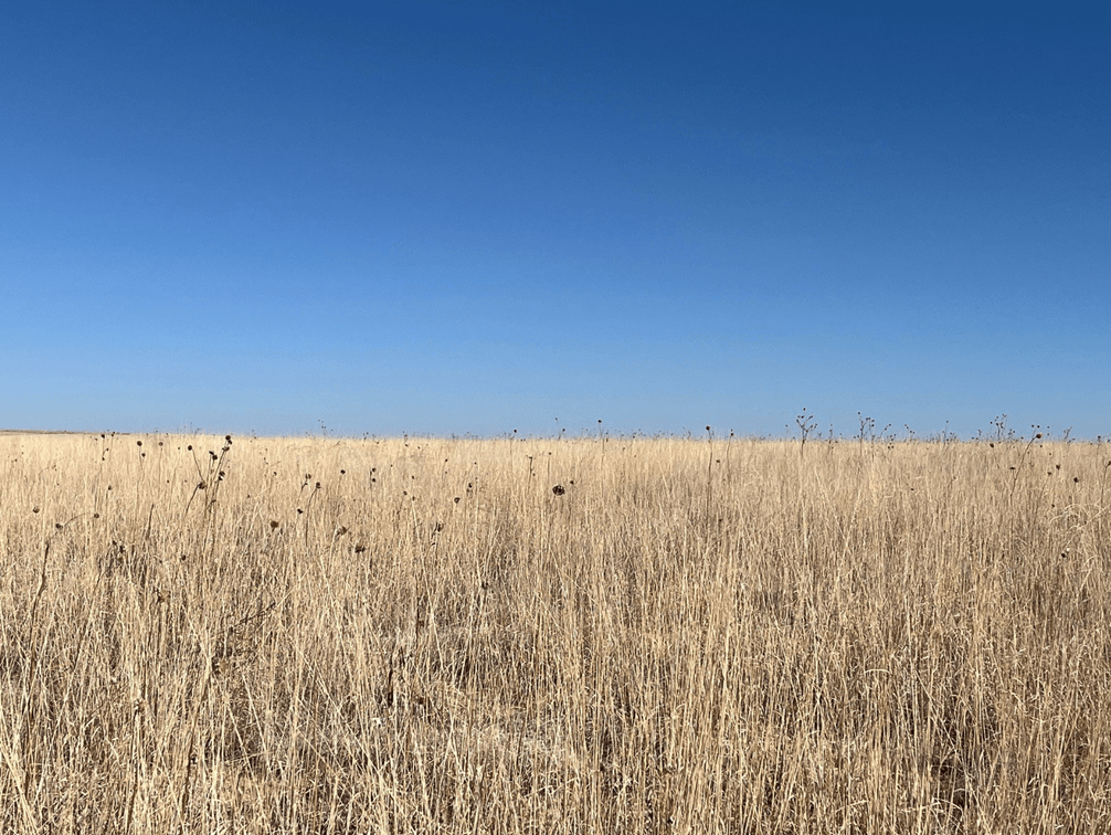 Image for KIOWA COUNTY, COLORADO - CRP (C4077)