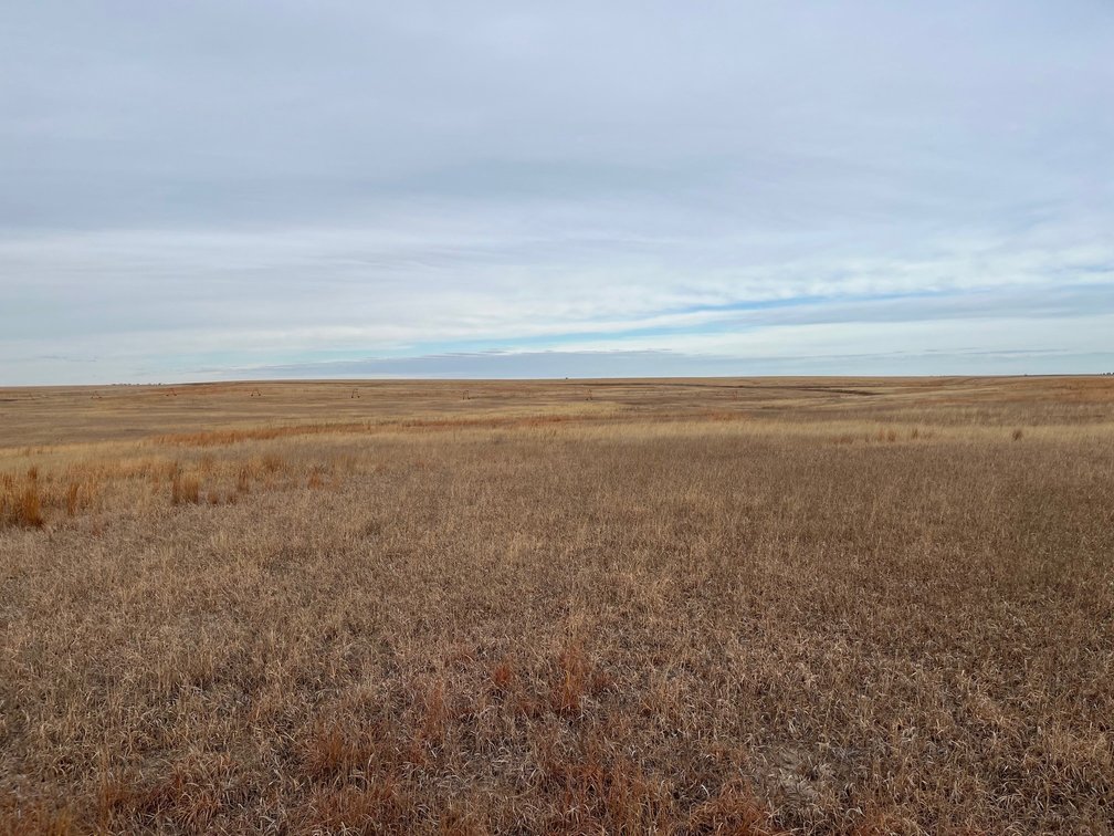 Image for WALLACE COUNTY, KS - EXPIRED CRP