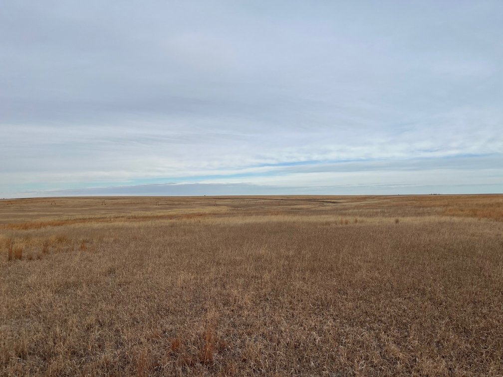 Image for WALLACE COUNTY, KS - EXPIRED CRP