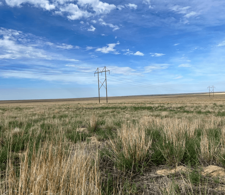 Image for KIOWA COUNTY, CO - CRP