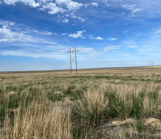Image for KIOWA COUNTY, CO - CRP