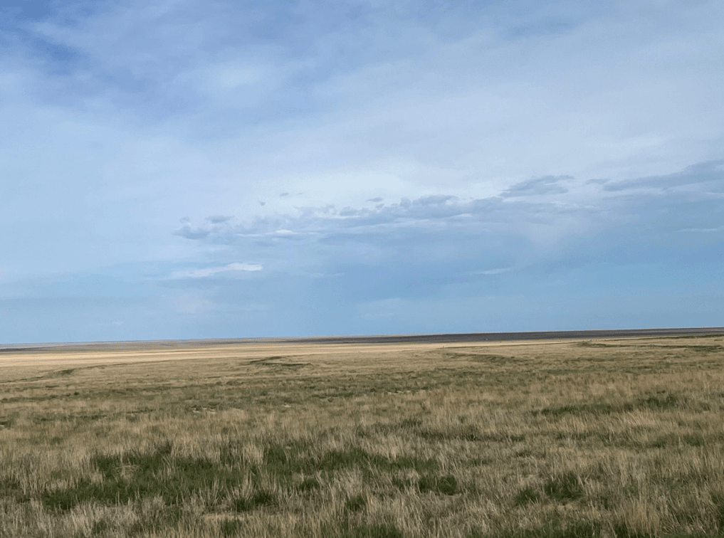 Image for KIOWA COUNTY, CO - CRP