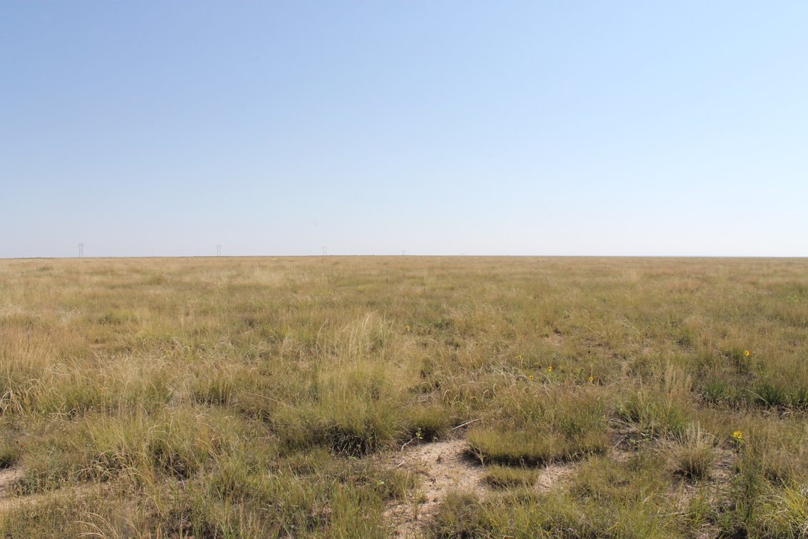 Image for KIOWA COUNTY, CO - CRP