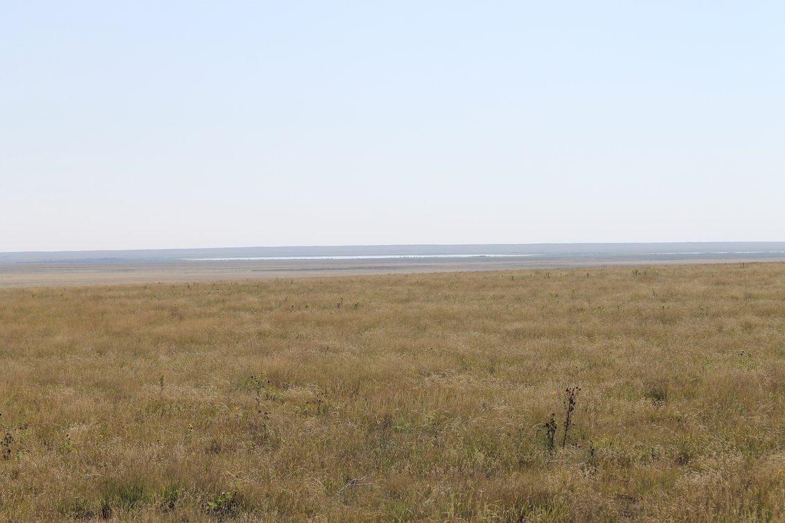 Image for KIOWA COUNTY, CO - CRP