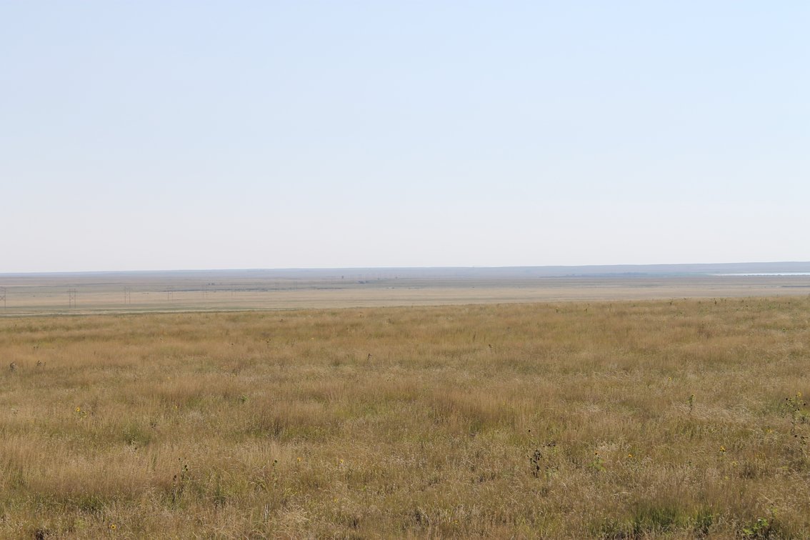 Image for KIOWA COUNTY, CO - CRP