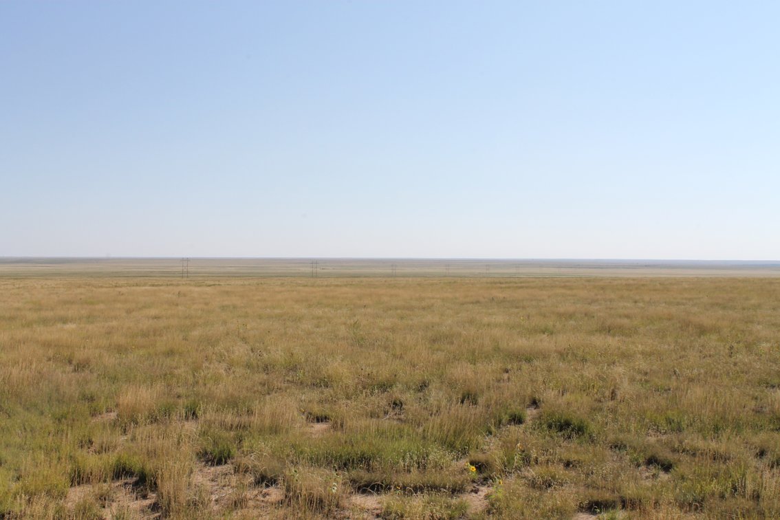 Image for KIOWA COUNTY, CO - CRP