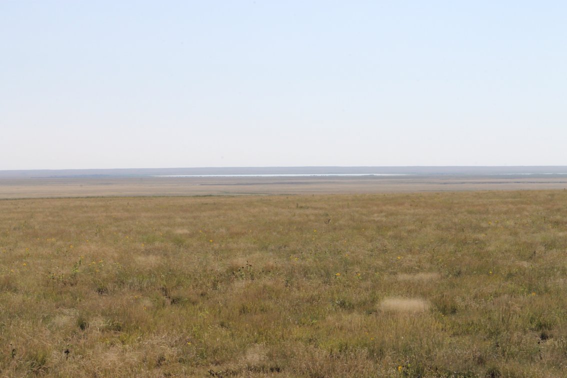 Image for KIOWA COUNTY, CO - CRP