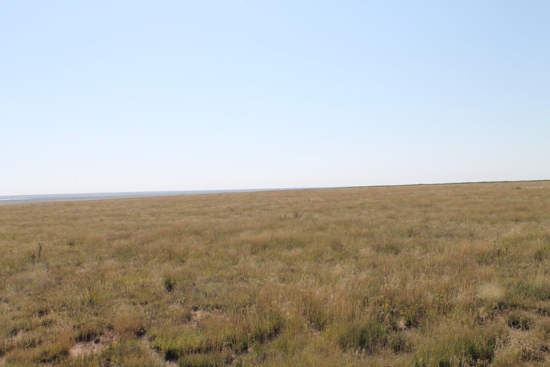 Image for KIOWA COUNTY, CO - CRP