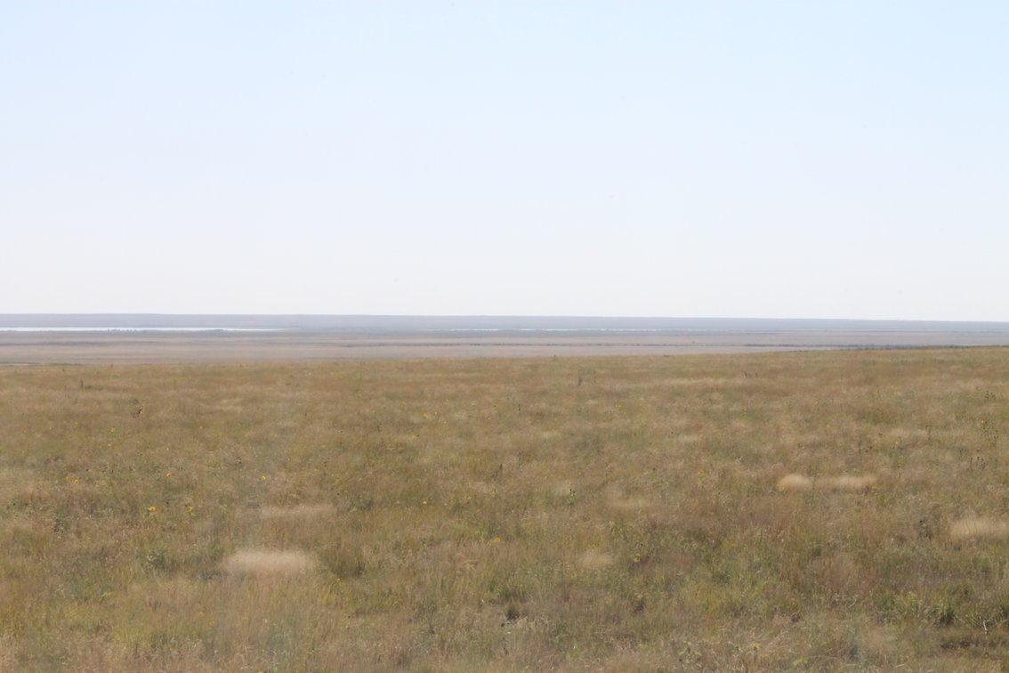 Image for KIOWA COUNTY, CO - CRP