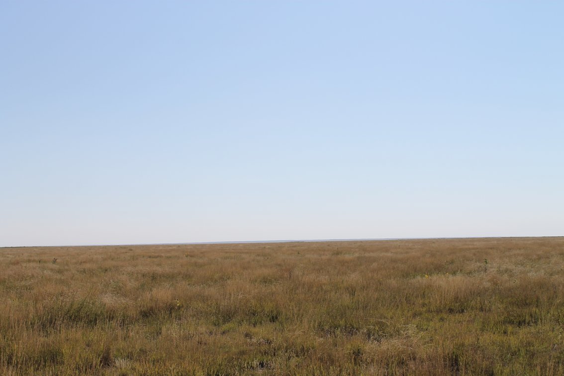 Image for KIOWA COUNTY, CO - CRP
