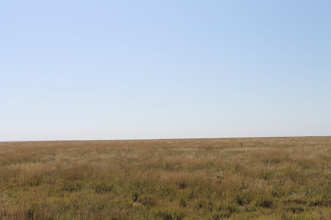 Image for KIOWA COUNTY, CO - CRP