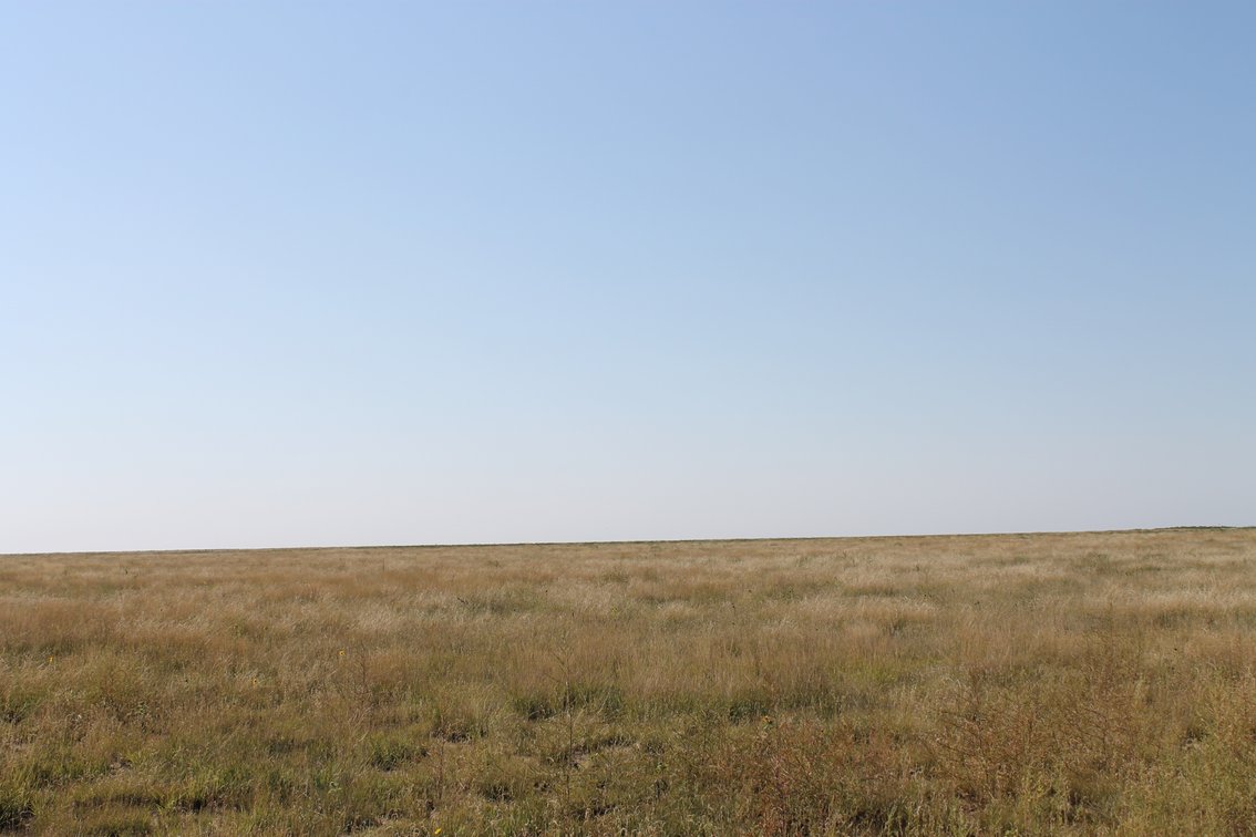 Image for KIOWA COUNTY, CO - CRP