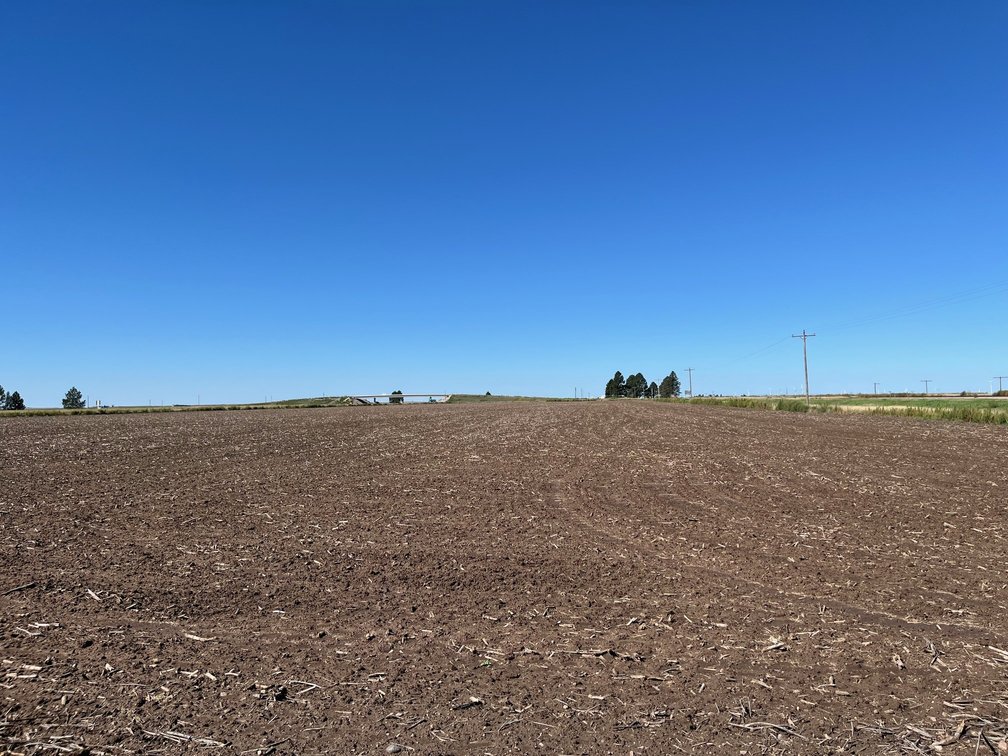 Image for SHERMAN COUNTY, KS - CROPLAND & GRASS