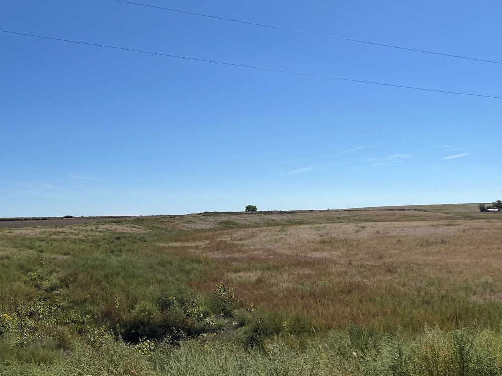 Image for SHERMAN COUNTY, KS - CROPLAND & GRASS