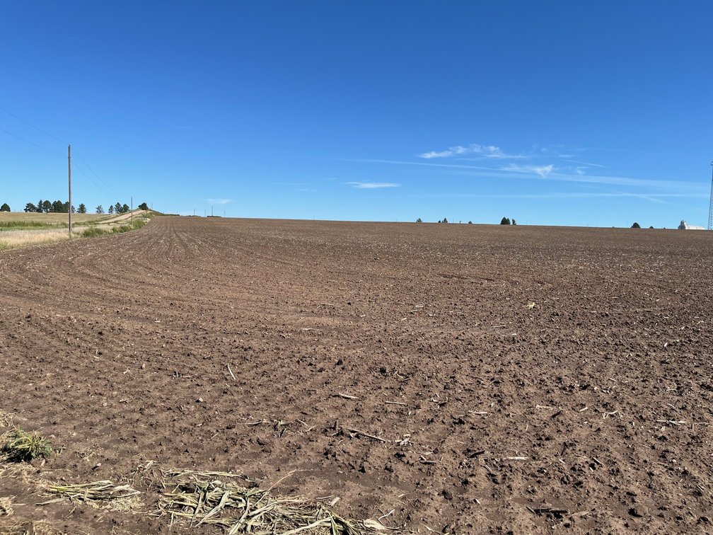 Image for SHERMAN COUNTY, KS - CROPLAND & GRASS