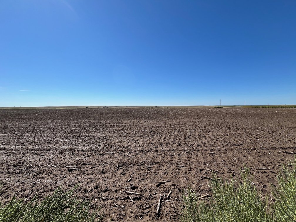 Image for SHERMAN COUNTY, KS - CROPLAND & GRASS