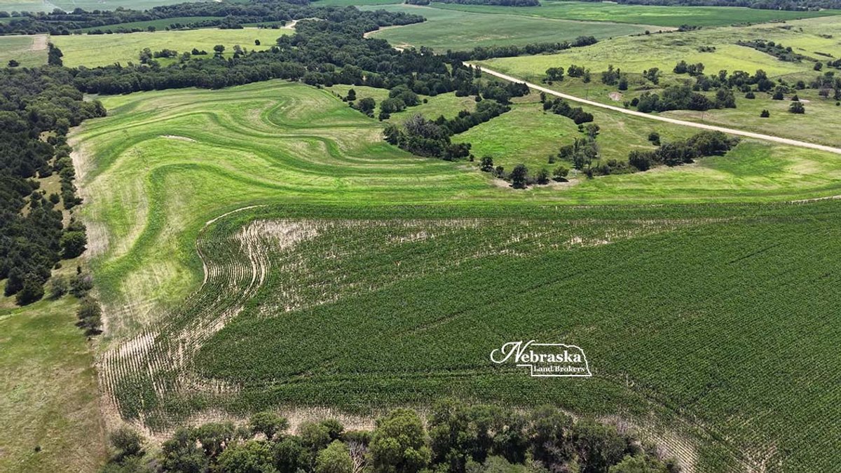 Deweese Hunting Farm