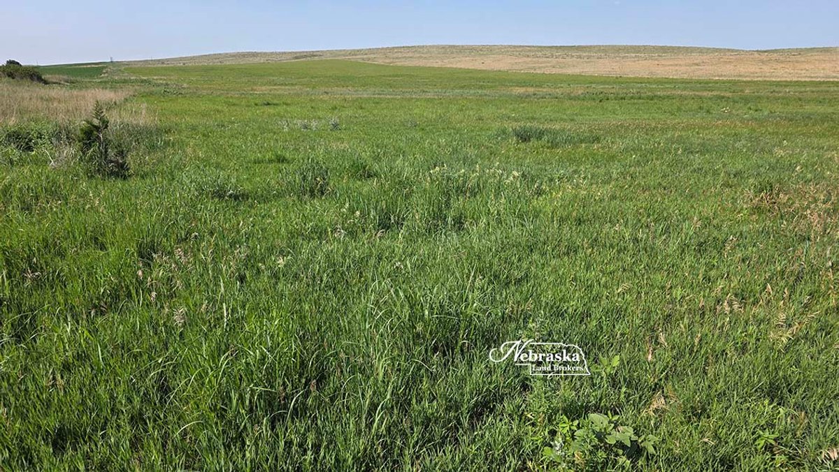 Parcel 5 - Hayes County Expired CRP