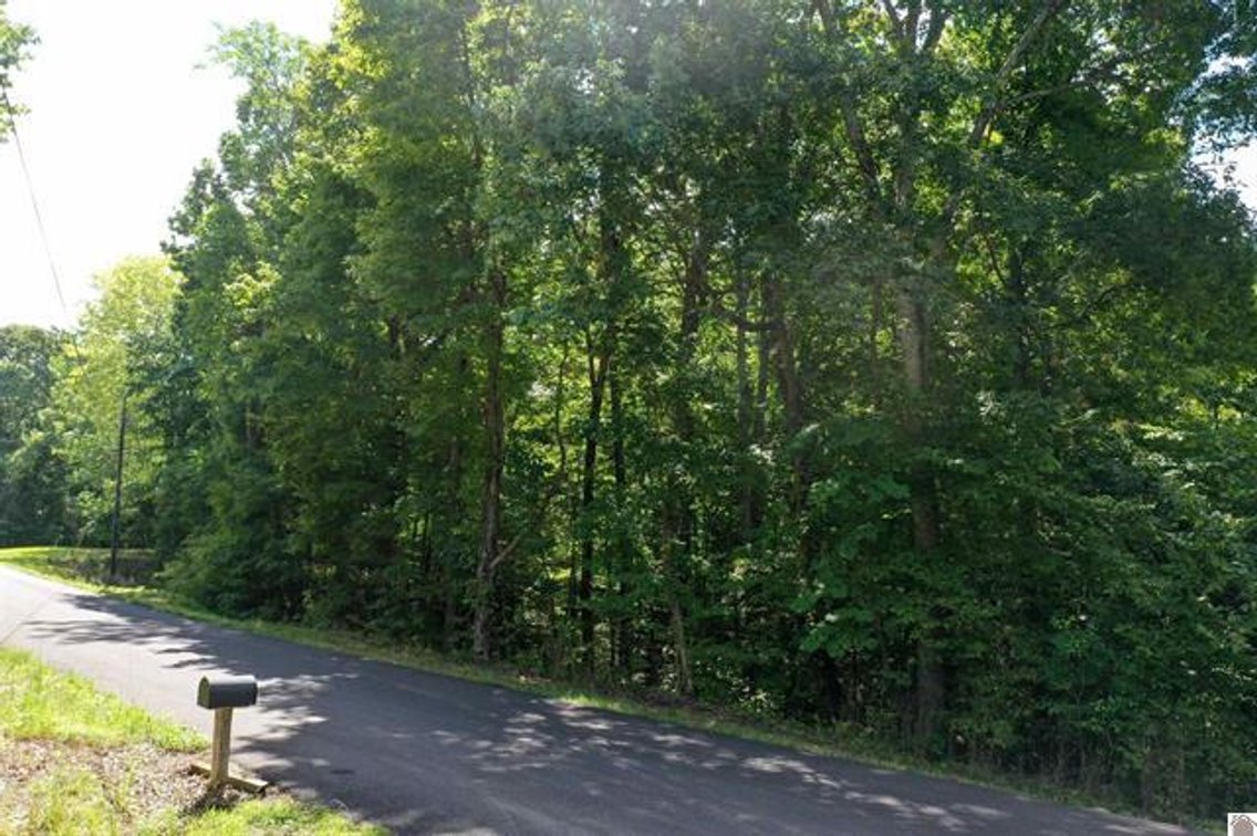 Image for Lot 18 and 19 Center Ridge Road Eddyville, KY 42038