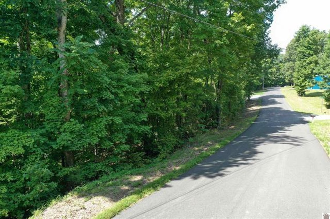 Image for Lot 18 and 19 Center Ridge Road Eddyville, KY 42038