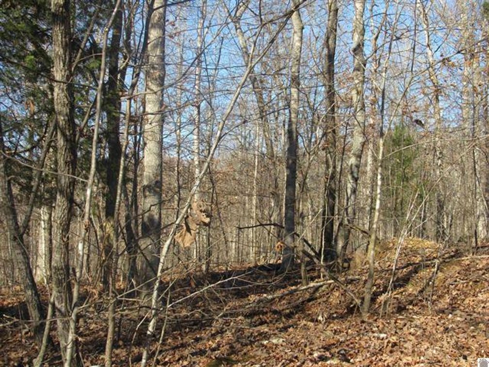 Image for 00 Cardwell Lane Cadiz, KY 42211
