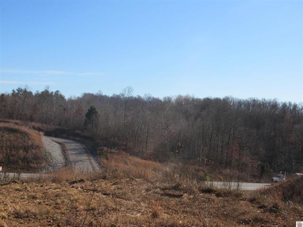 Image for 00 Cardwell Lane Cadiz, KY 42211