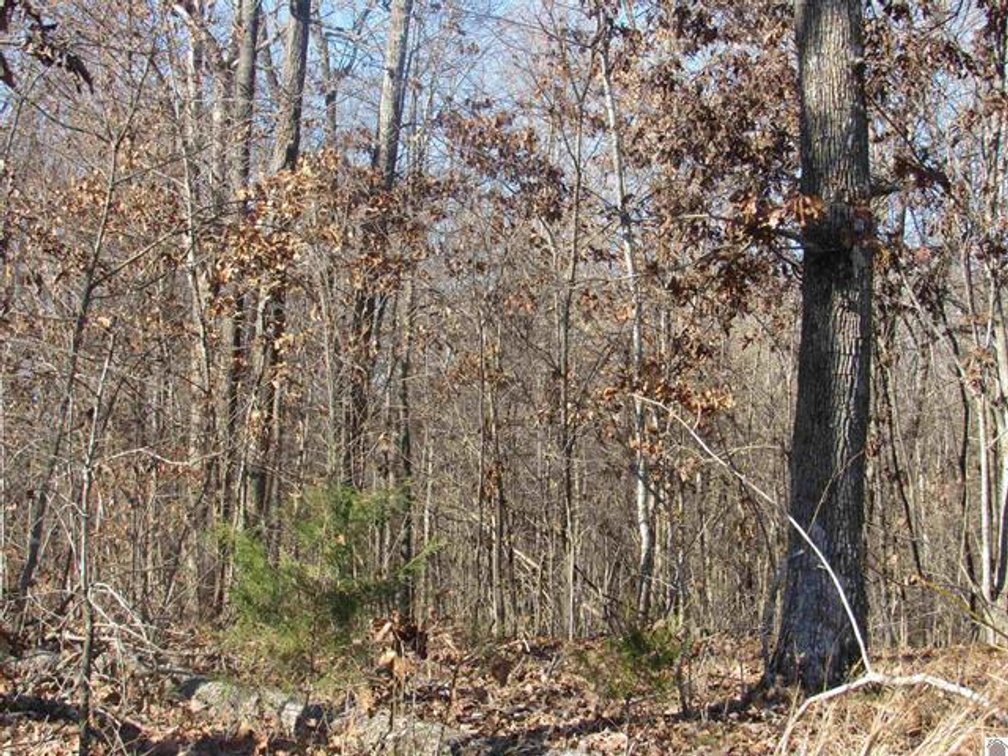 Image for 00 Cardwell Lane Cadiz, KY 42211