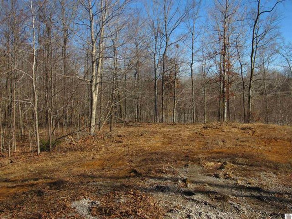 Image for 00 Cardwell Lane Cadiz, KY 42211