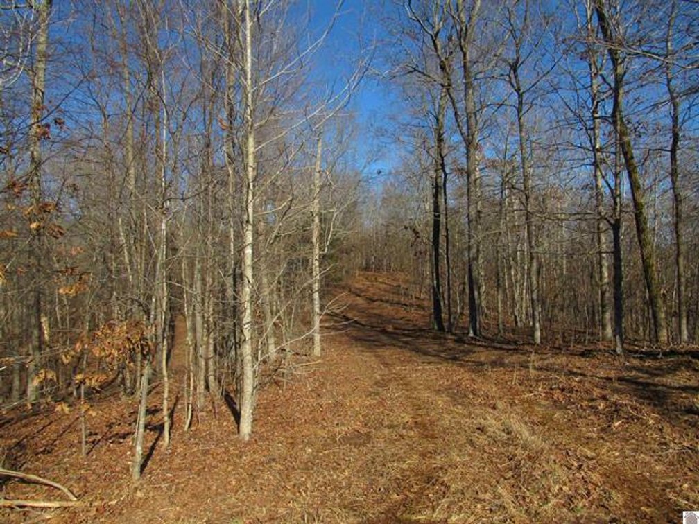 Image for 00 Cardwell Lane Cadiz, KY 42211