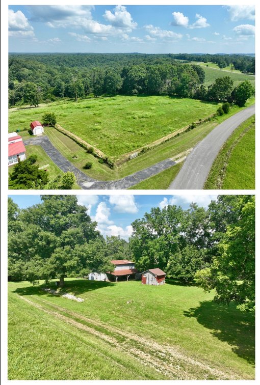 Image for Farm Auction