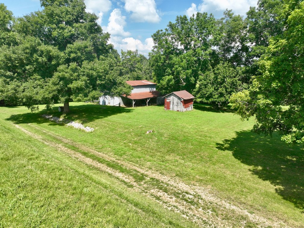 Image for Farm Auction