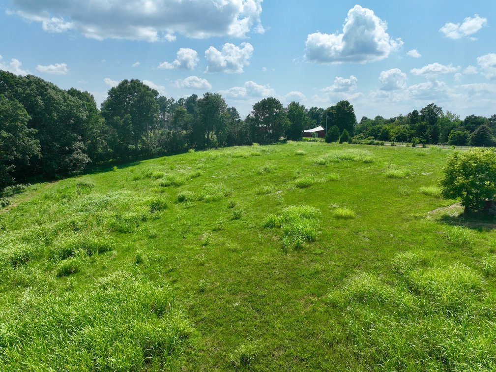 Image for Farm Auction