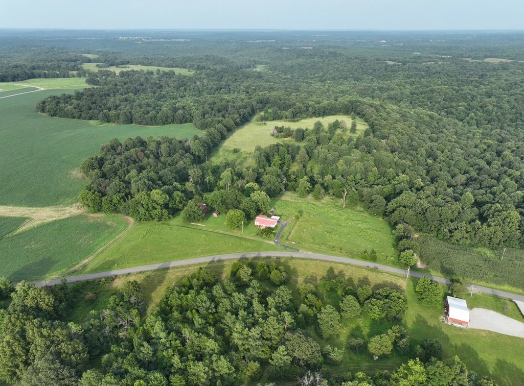 Image for Farm Auction
