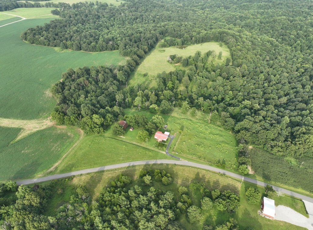 Image for Farm Auction
