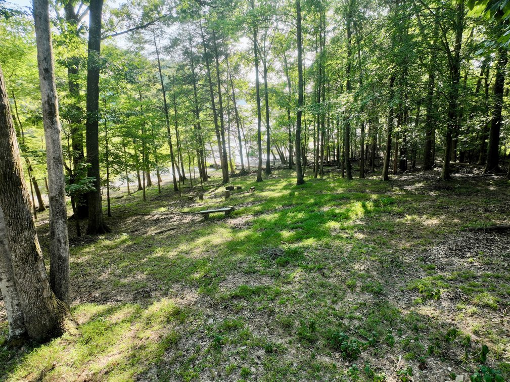 Image for Lakefront Property Auction