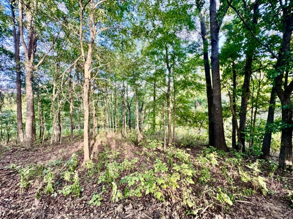 Image for 314 Bear Run Road, Cadiz, KY 42211