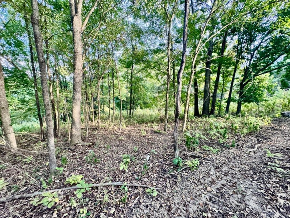 Image for 314 Bear Run Road, Cadiz, KY 42211